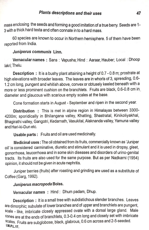 Medicinal Plants of Uttaranchal State